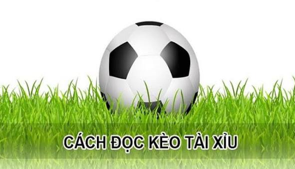 Hướng dẫn cách đọc kèo tài xỉu hiệu quả