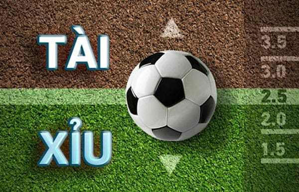 Cược tài xỉu là một trong những hình thức cá cược phổ biến nhất hiện nay