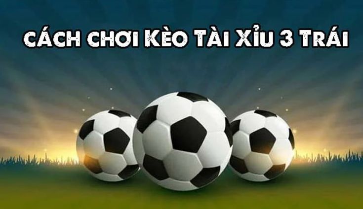 Tài Xỉu 3 Trái Là Gì?